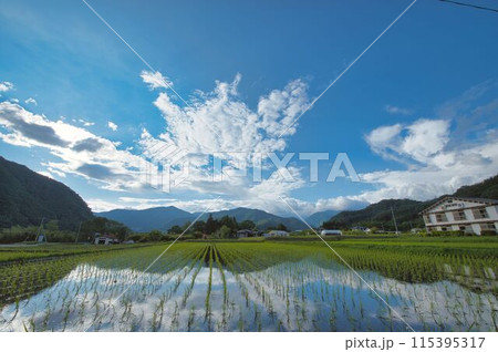 田舎の風景 田舎の風景 115395317
