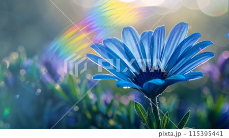 Closeup blue flower petals and sun rainbow glare. 115395441