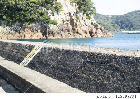 南伊豆下田の堤防と海 115395831