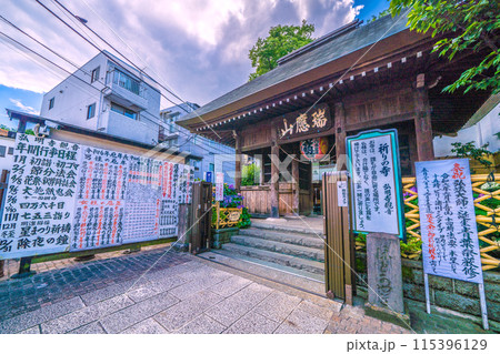 日本の横浜都市景観 6月。弘明寺駅前の商店街を抜けた先。弘明寺などを望む 115396129