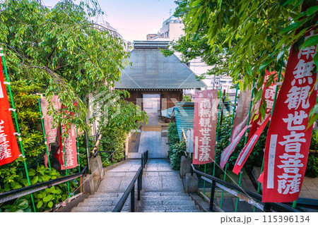 日本の横浜都市景観 6月。弘明寺駅前の商店街を抜けた先。弘明寺などを望む 115396134