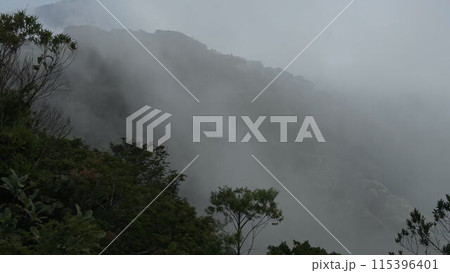 Dense morning fog ascending over lush rainforest mountainside Dense morning fog ascending over lush rainforest mountainside 115396401