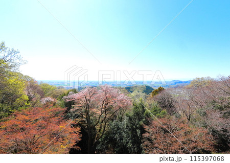 太平山 桜満開の謙信平からの関東平野 太平山 桜満開の謙信平からの関東平野 115397068