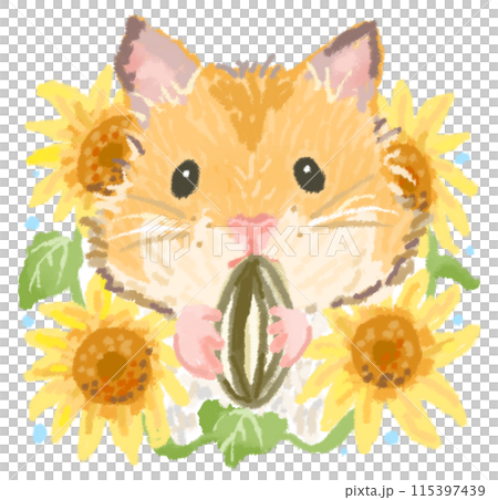 Sunflower field and hamster eating sunflower seeds 115397439