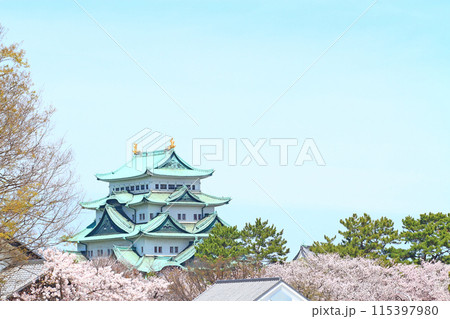 愛知県名古屋市、満開の桜と名古屋城の風景 愛知県名古屋市、満開の桜と名古屋城の風景 115397980