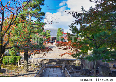 金戒光明寺 青空と紅葉と御影堂(大殿)と美しい境内 京都市左京区 金戒光明寺 青空と紅葉と御影堂(大殿)と美しい境内 京都市左京区 115398036