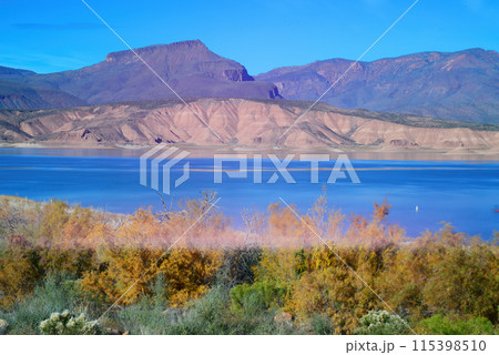 Blue Skies Roosevelt Lake Arizona Blue Skies Roosevelt Lake Arizona 115398510