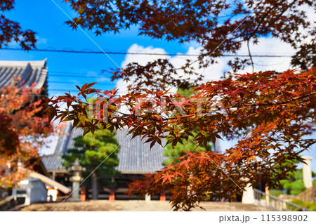 金戒光明寺 青空と紅葉と御影堂(大殿)と美しい境内 京都市左京区 金戒光明寺 青空と紅葉と御影堂(大殿)と美しい境内 京都市左京区 115398902