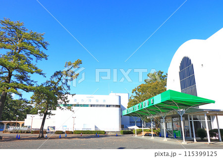 静岡県静岡市、東海大学海洋科学博物館の風景 115399125