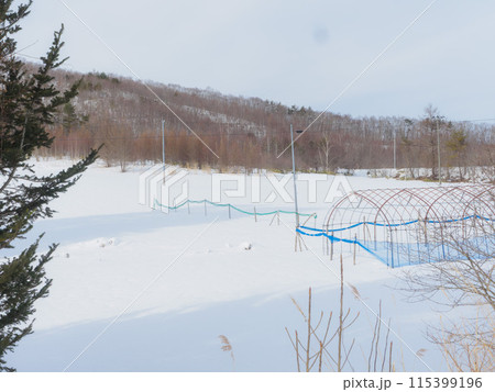 冬の畑に新雪 冬の畑に新雪 115399196