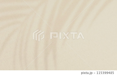 リゾート地を連想させる夏の植物の影。トロピカルな背景素材。 115399485