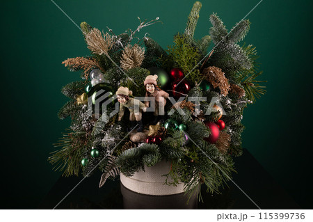 Potted Plant Filled With Christmas Decorations Potted Plant Filled With Christmas Decorations 115399736