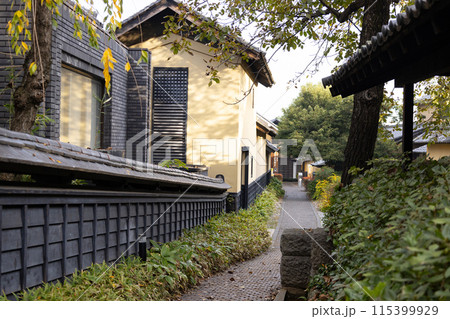 長野県小布施町　栗の小径 115399929