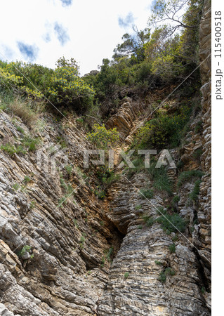 Lush greenery on a rocky cliff Lush greenery on a rocky cliff 115400518