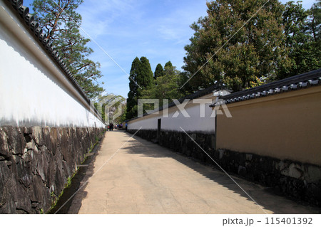姫路城西御屋敷跡庭園「好古園」 春の日本庭園 姫路城西御屋敷跡庭園「好古園」 春の日本庭園 115401392