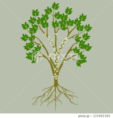 Jaboticaba brazilian grape tree with roots and flowers. Jaboticaba brazilian grape tree with roots and flowers. 115401395