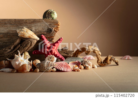 Abstract nature scene with a composition of seashell, starfish, and snags on a beige background. Abstract nature scene with a composition of seashell, starfish, and snags on a beige background. 115402720