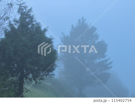 It dawns with fog in the mountains of the Basque country of Spain It dawns with fog in the mountains of the Basque country of Spain 115402754