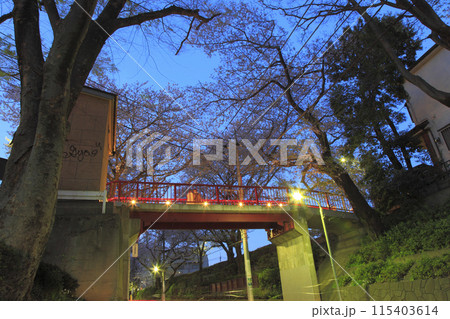 田園調布本町 桜坂 桜橋 夕景 田園調布本町 桜坂 桜橋 夕景 115403614