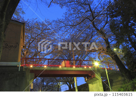 田園調布本町 桜坂 桜橋 夕景 田園調布本町 桜坂 桜橋 夕景 115403615