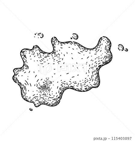drop water puddle sketch hand drawn vector 115403897