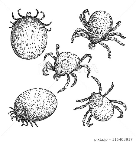 tick set sketch hand drawn vector 115403917