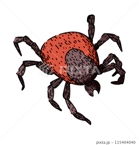 lyme tick sketch hand drawn vector 115404040