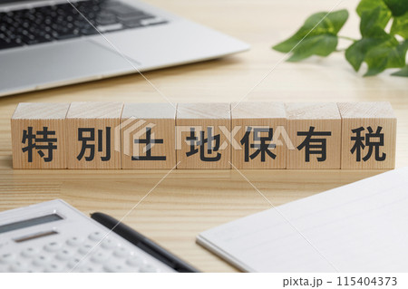 特別土地保有税と書かれた積み木のブロック 115404373