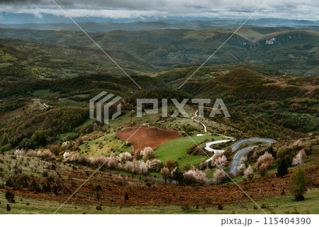 Curved Mountain Road Landscape in Golija Serbia 115404390
