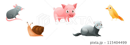 Cute Home Pet Animal with Rat, Pig, Snail, Bird and Ferret Vector Set 115404499