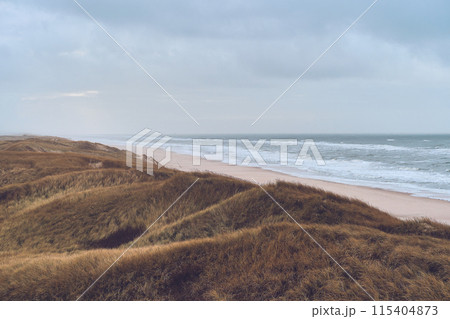 Dunes in bad weather at danish west coast Dunes in bad weather at danish west coast 115404873