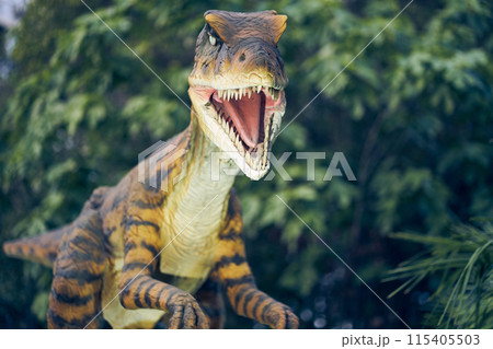 Veloceraptors are classified as common species, characterized by dexterity, thin and slender physique, as well as excellent nose. With space to copy. High quality photo Veloceraptors are classified as common species, characterized by dexterity, thin and slender physique, as well as excellent nose. With space to copy. High quality photo 115405503