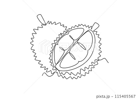 Single one line drawing whole and segment sliced healthy organic durian for orchard logo identity. Fresh tropical fruit concept for garden icon. Continuous line draw design graphic vector illustration 115405567