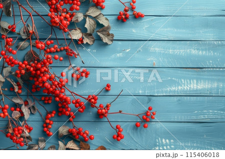 Red rowan berries on a blue rustic wooden background 115406018