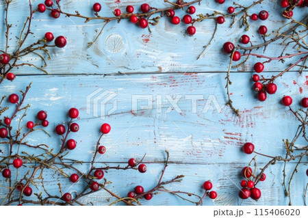 Cranberries on a blue rustic wooden background 115406020