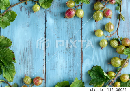 Gooseberries on a blue rustic wooden background 115406021