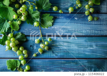 Gooseberries on a blue rustic wooden background 115406022