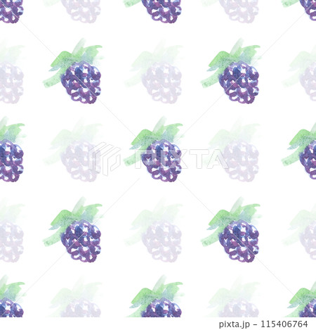 Seamless pattern with watercolor blackberries. Seamless pattern with watercolor blackberries. 115406764