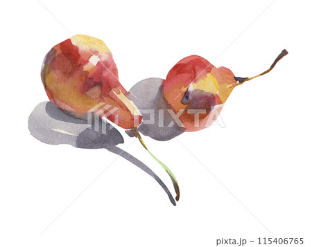 Watercolor pears with shadows. Watercolor pears with shadows. 115406765