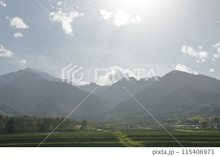 卯月半ば過ぎ山桜咲く里山の遅い春 卯月半ば過ぎ山桜咲く里山の遅い春 115406971