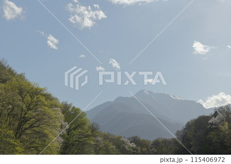 卯月半ば過ぎ山桜咲く里山の遅い春 卯月半ば過ぎ山桜咲く里山の遅い春 115406972