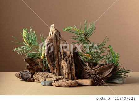 Abstract nature scene with a composition of pine branches, stones, and dry snags. 115407528