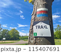 トレイルに立つ目印を追って 115407691