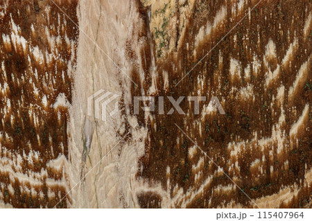 Macro stone mineral petrified wood on a black background Macro stone mineral petrified wood on a black background 115407964