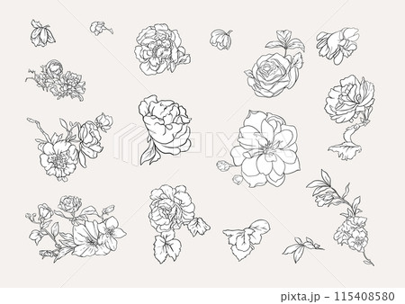 Set, element for design flowers Set, element for design flowers 115408580