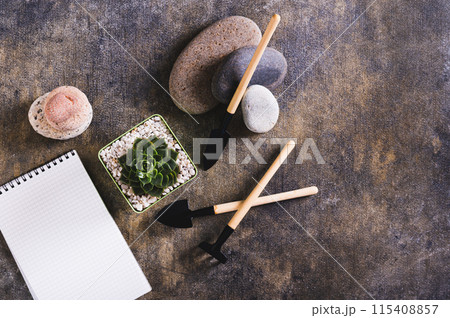 Succulent in a pot and tools for home gardening on the table top view 115408857