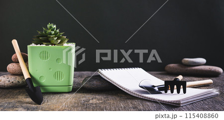 Succulent plant, home gardening tools, notebook and stones on the table web banner 115408860
