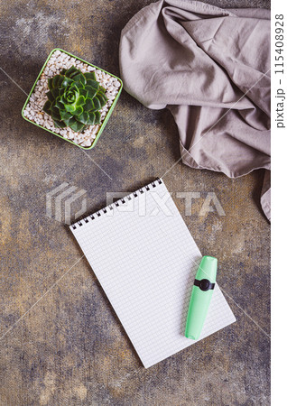 Blank open notebook for writing, pen, succulent in pot and fabric on workplace top and vertical view Blank open notebook for writing, pen, succulent in pot and fabric on workplace top and vertical view 115408928