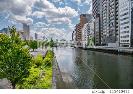 中之島公園と土佐堀川　ビル街　大阪市 115410452