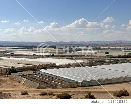 Top view of greenhouses in the Arava desert 115410522